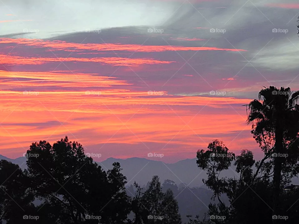 Sunrise