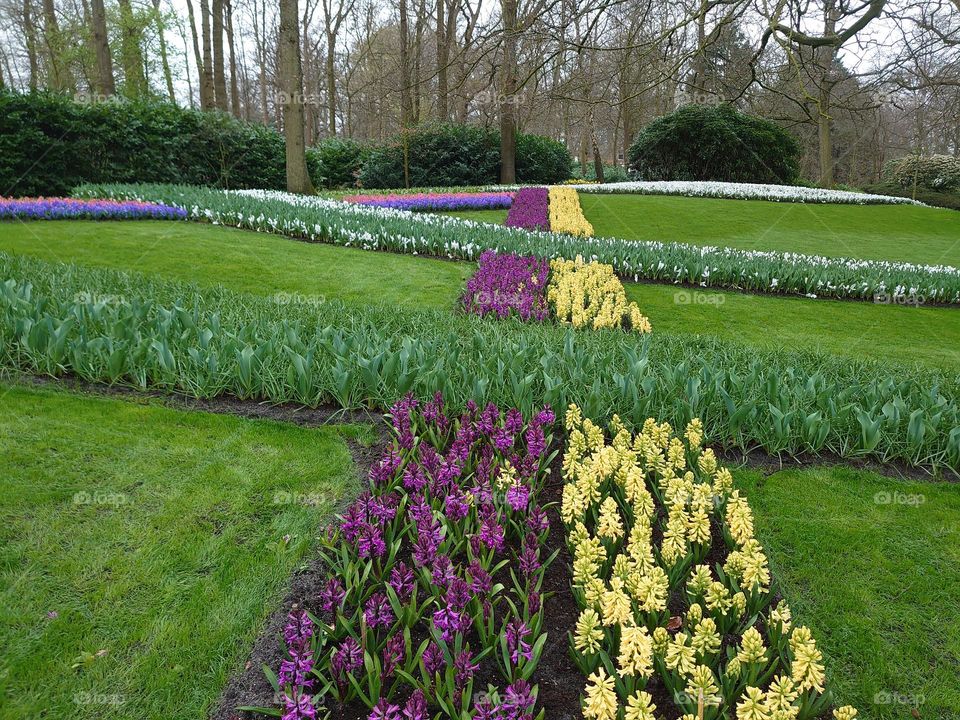 Rectangle flowerbed