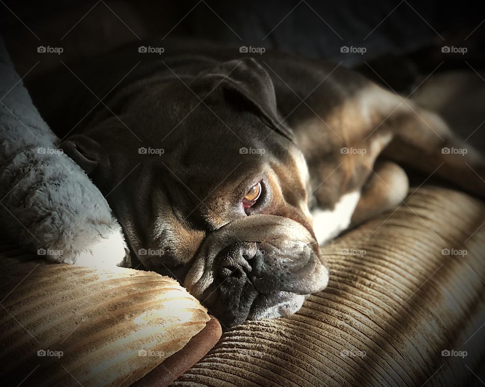 I said don’t wake me!