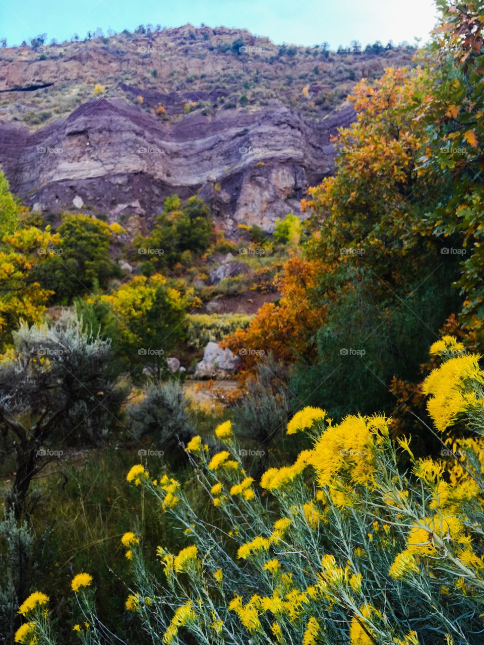 Scenic view of mountain in autumn season