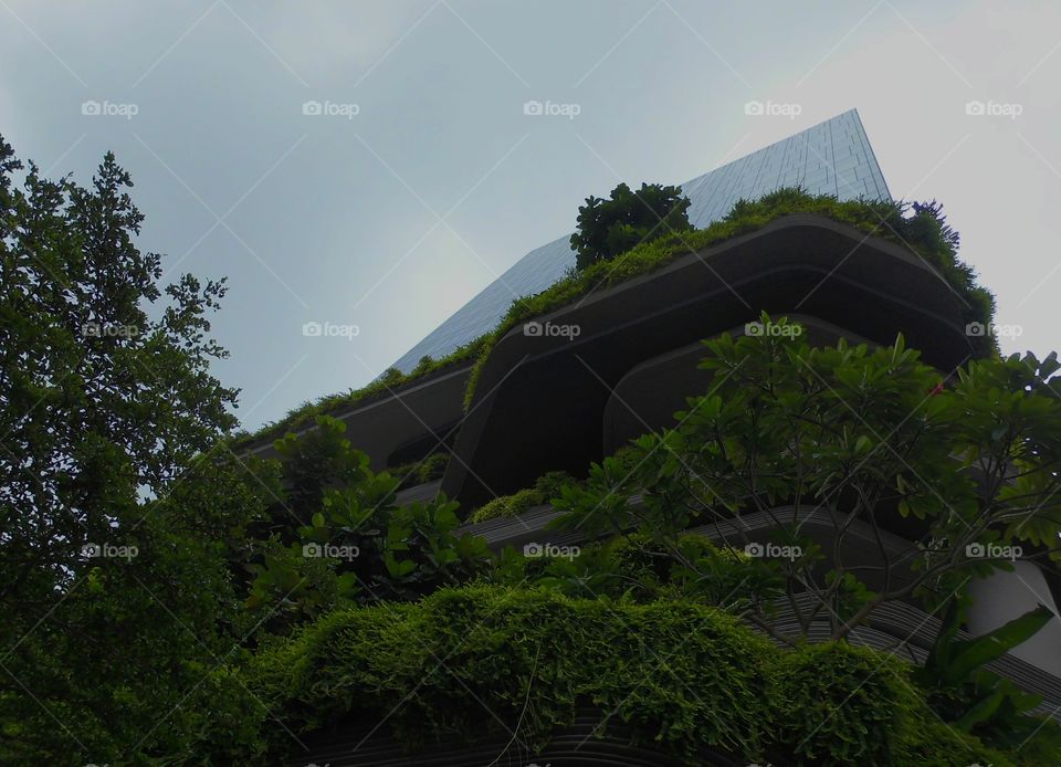 Green based architechture