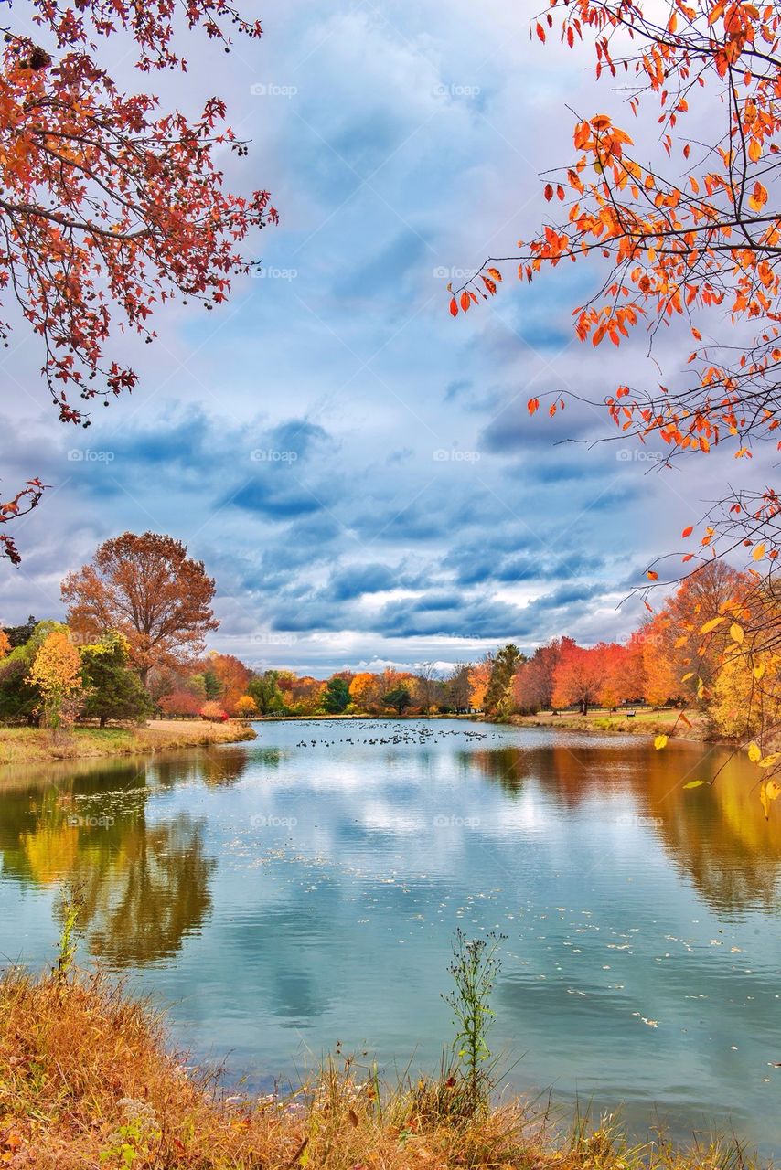 Scenic view of idyllic lake