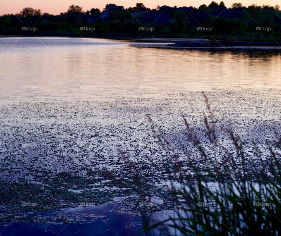 Water reflecting sky and trees at sunset