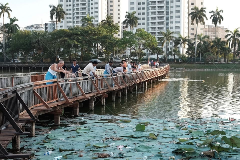 Fishing at the park