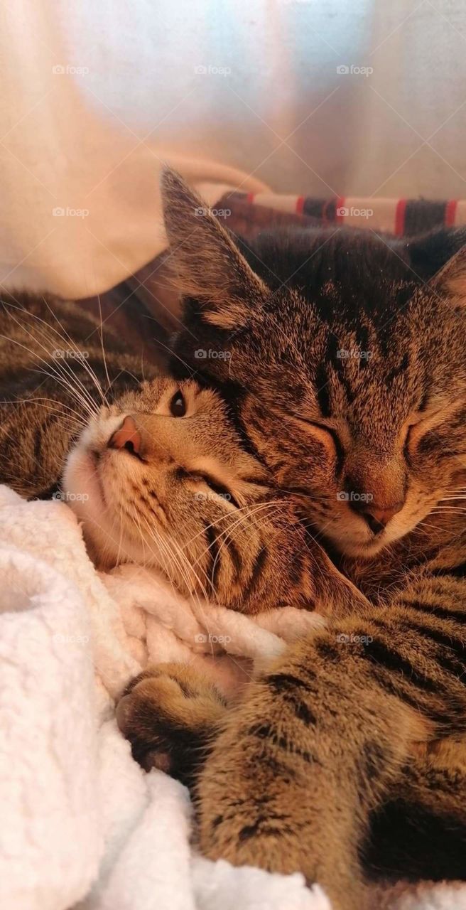 Only love🥰♥️😍