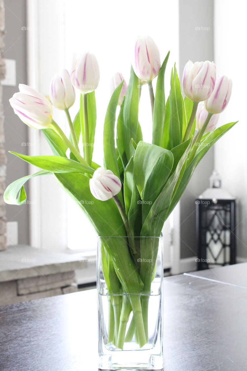 Tulips flowers in vase