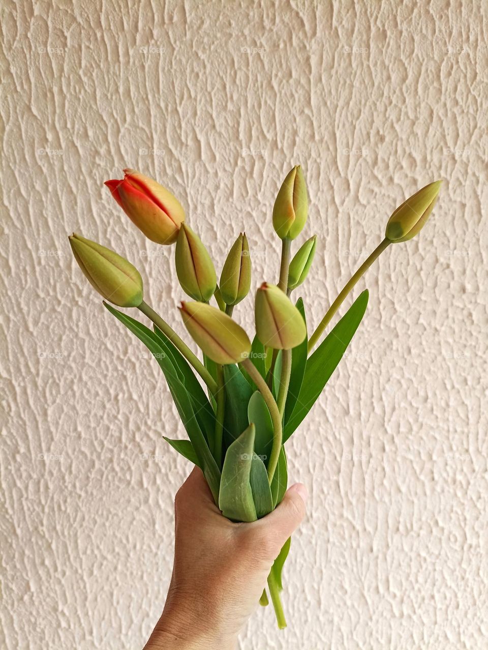 green bouquet in the female hand spring flowers,