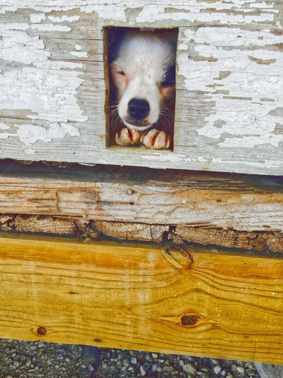 Peep hole!