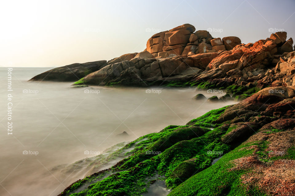 Green Mosses covering rocky shores in an early morning scene.