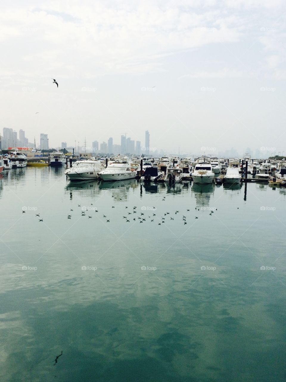 Marina Crescent Harbour, Kuwait 