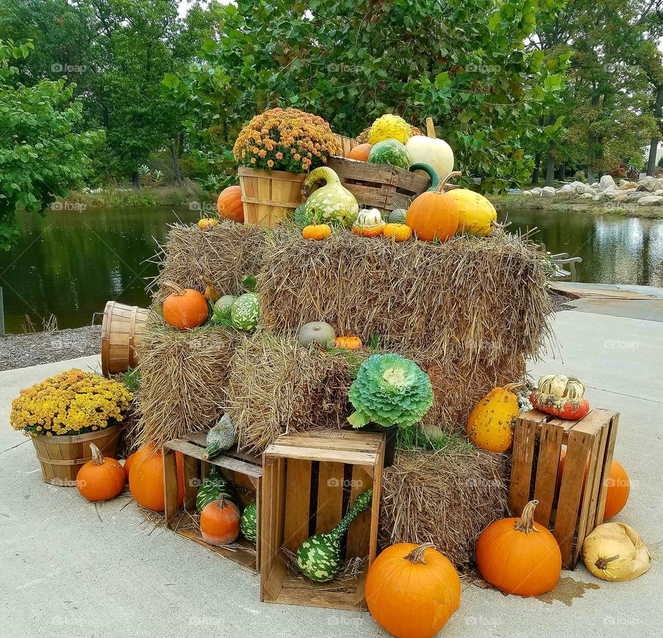 bales of hay and gourds