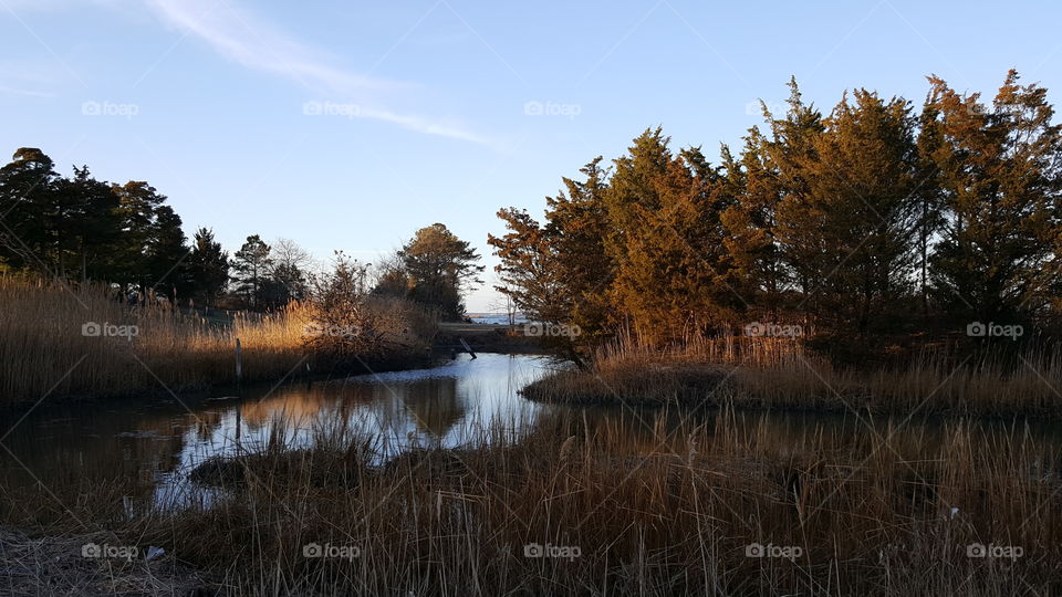 Massey Landing in Spring