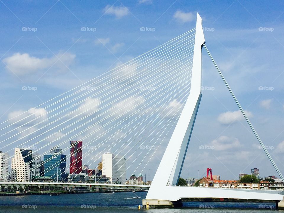 Rotterdam Erasmus bridge