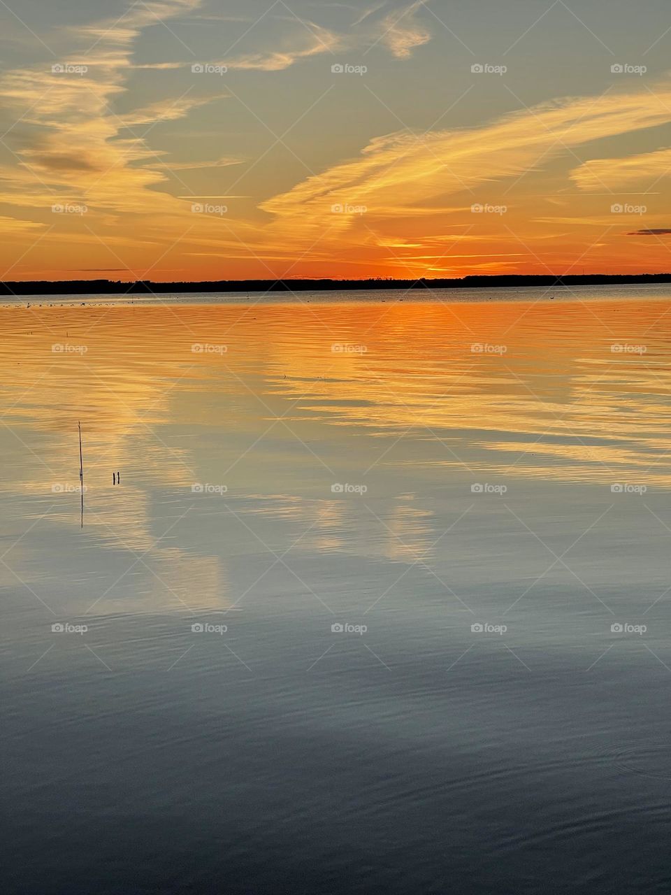 Sunset by the lake in nature