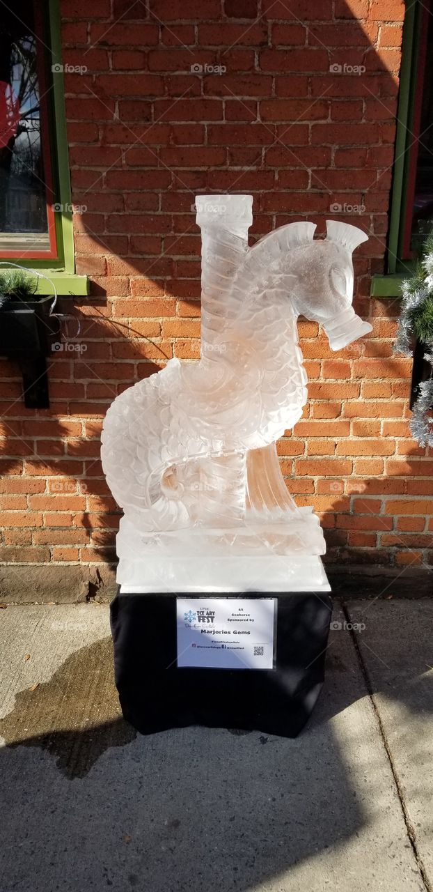 Icy Seahorse