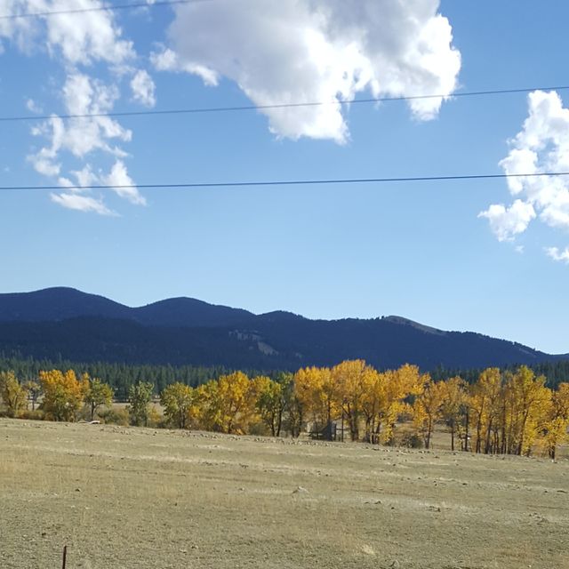 Montana's colors