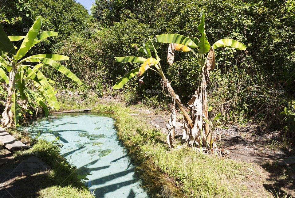 Jalapao State Park in Tocantins - Fervedouro Buritizinho.