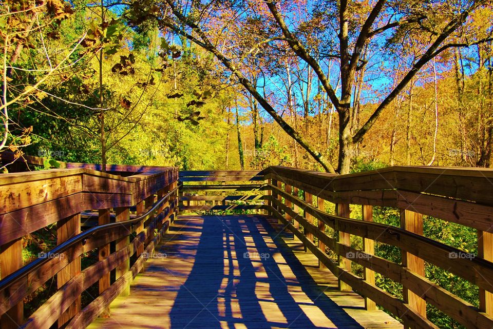 Walk bridge at Dusk