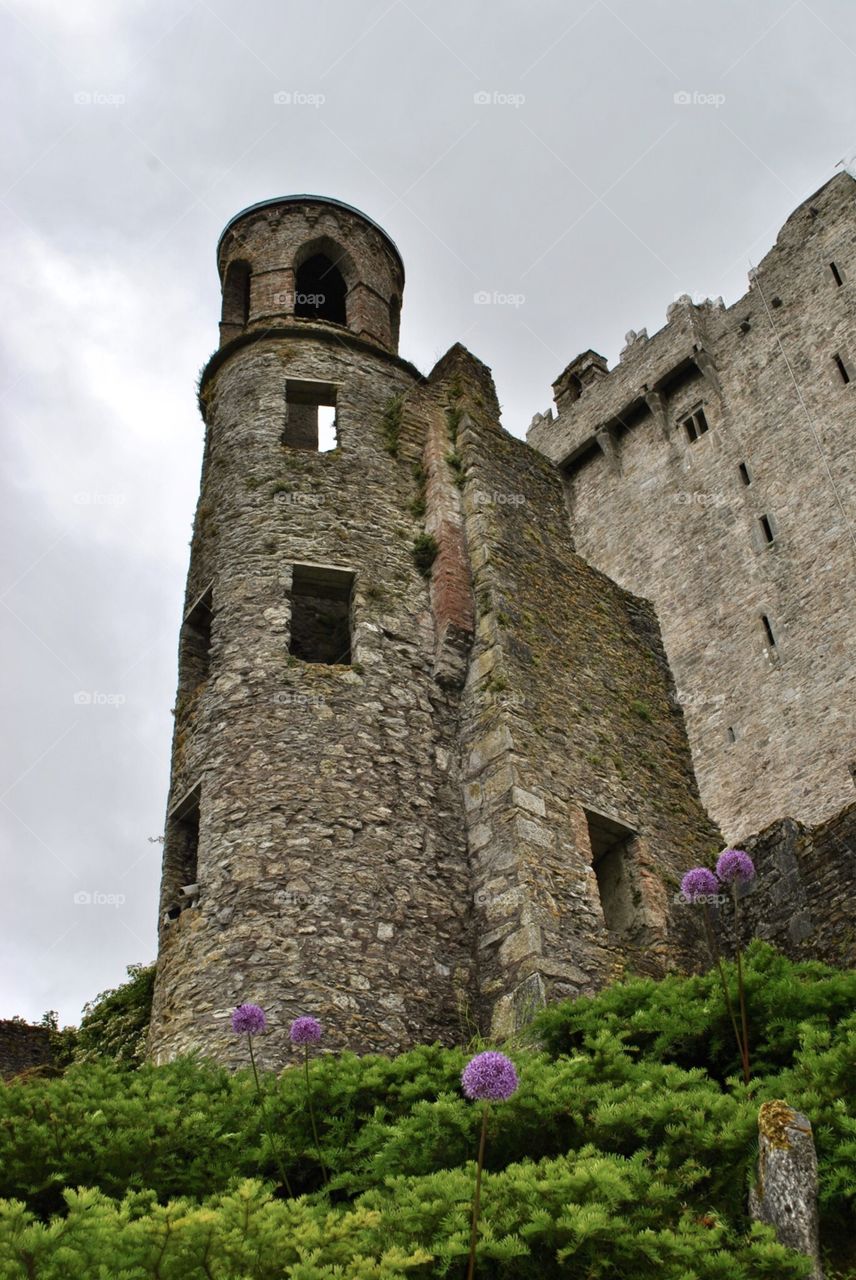 Blarney Castle and flowers