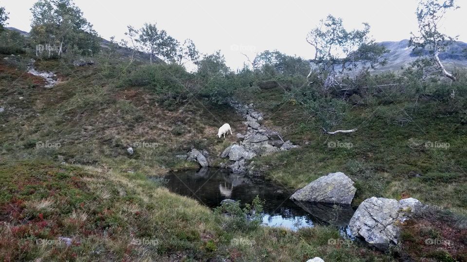 The rough nature in Norway