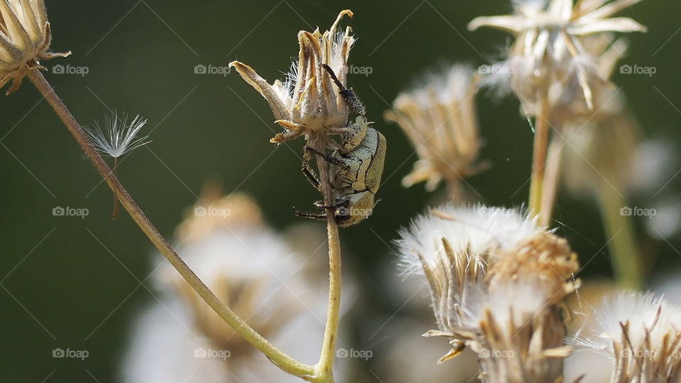 Haciendo el pino
Doing the pin