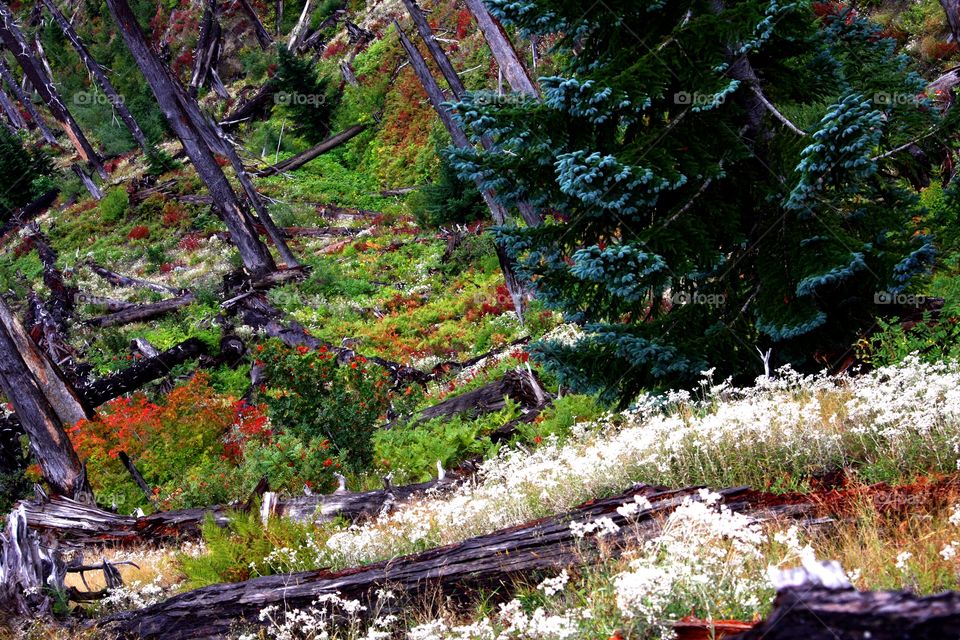 Mountain hike