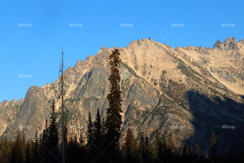 Rocky Mountain peaks