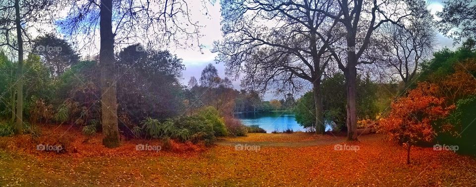 A panoramic view of Mount Stewart and its lake