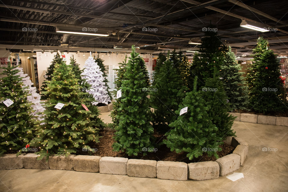 Fake christmas trees for sale in a store in sweden.