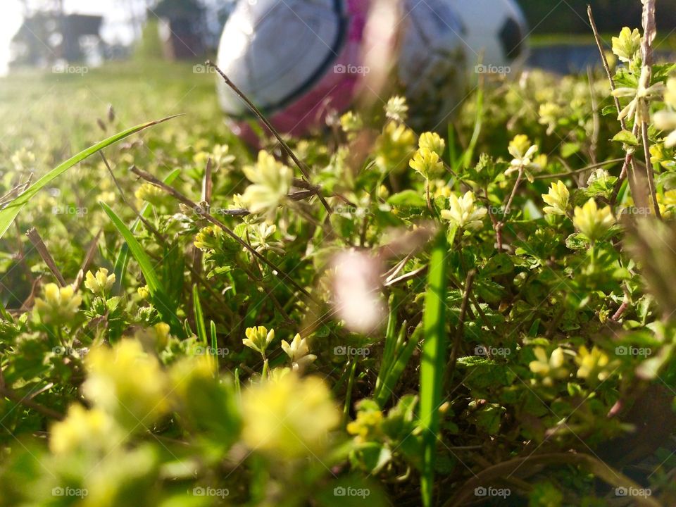 Soccer in spring time 