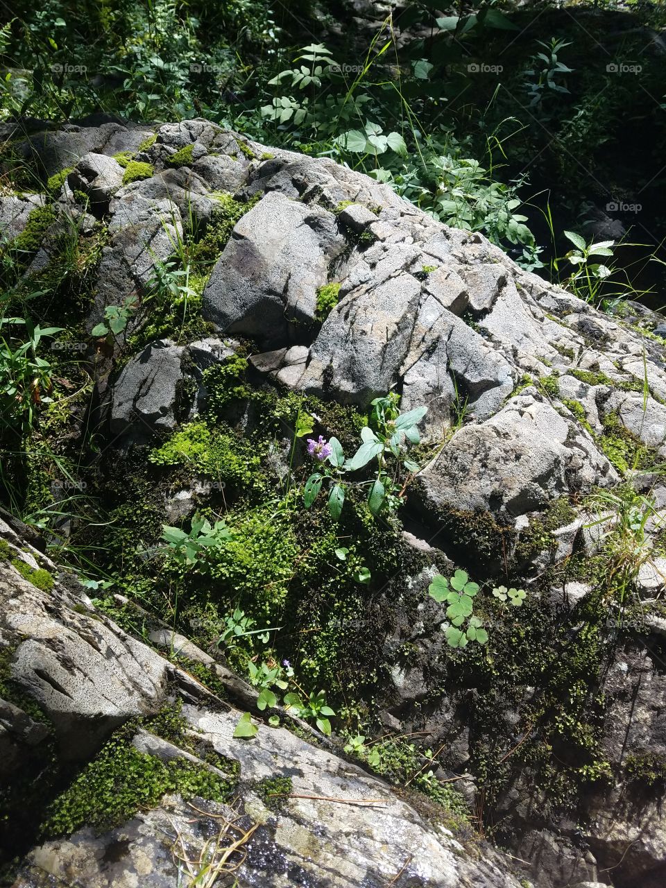 The stuff you find when you just take a second and look around