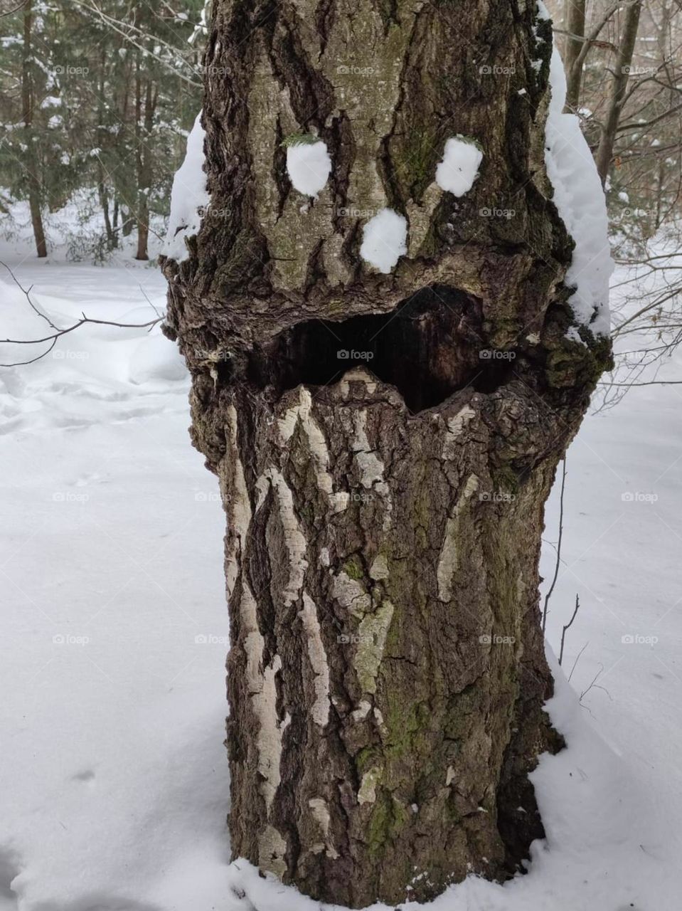 Anger. Winter. Everything is covered with white snow. In the center is a tree, the hollow of which is the shape of a disgruntled mouth. Snow patches where the eyes and nose should have been. Tree in anger