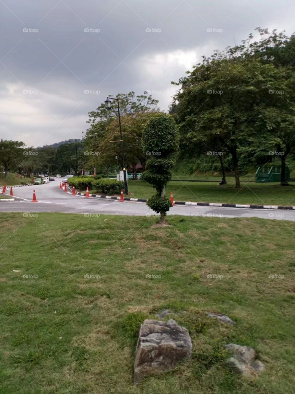 Tree, Landscape, People, Grass, Park