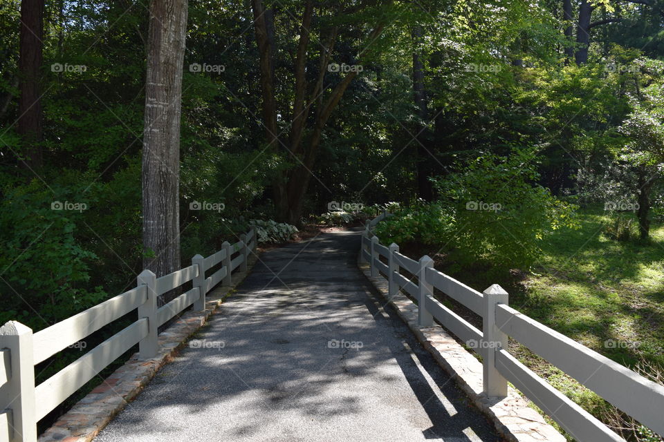 Hiking trail