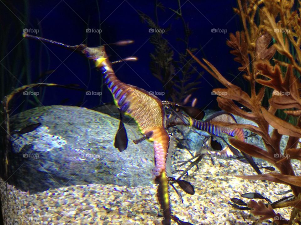 people nature travel color by itsAus