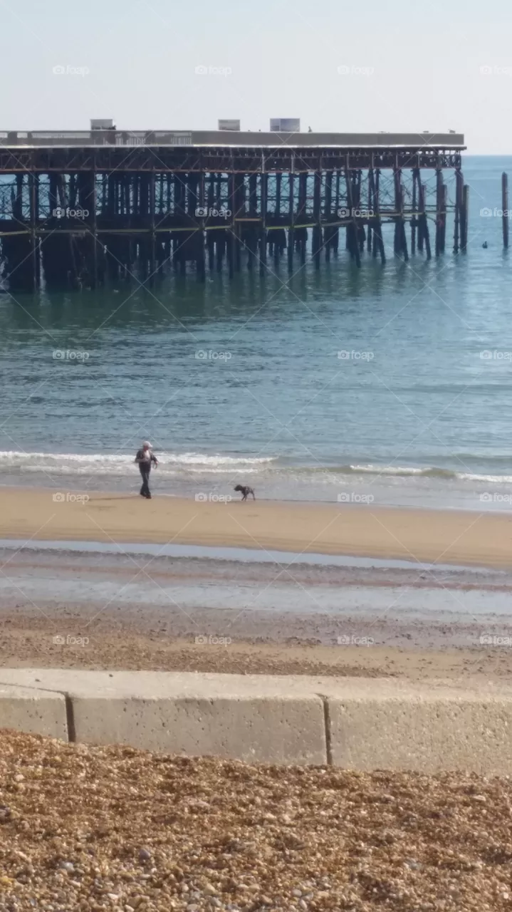 Water, No Person, Beach, Seashore, Sea