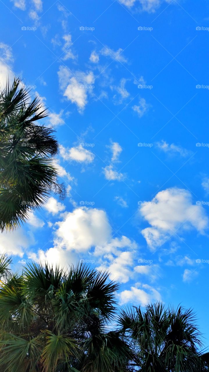 Nature: Bright Blue Sky, White Puffy Clouds