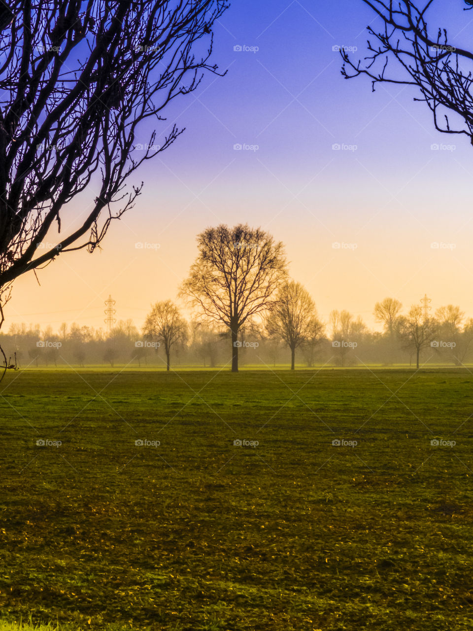 View of the countryside during a winter sunrise, fog, trees, yellow, sky, green, orange, vertical landscape, art, one tree in Milano district, Lombardy, Italy.
