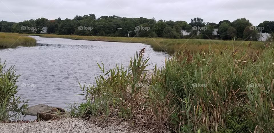 estuary and the park