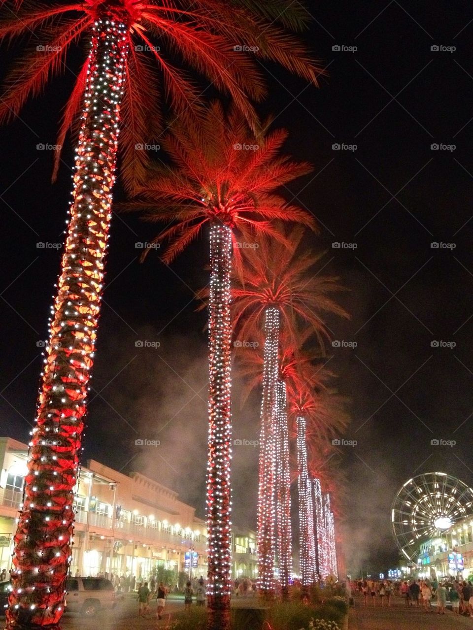 Lit up palm trees and Ferris wheel