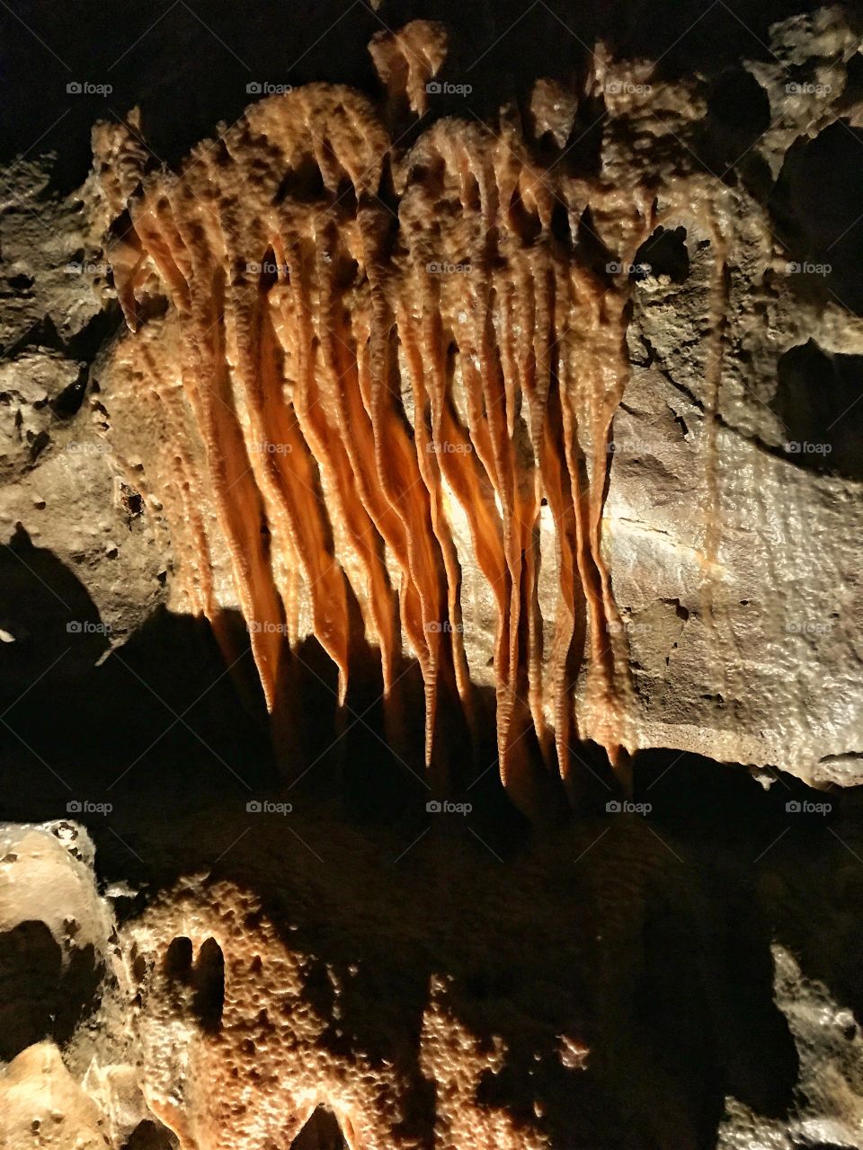 Cave bacon