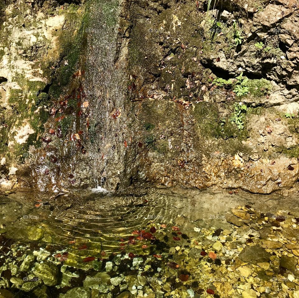 Swiss Forest Wolfsschlucht 