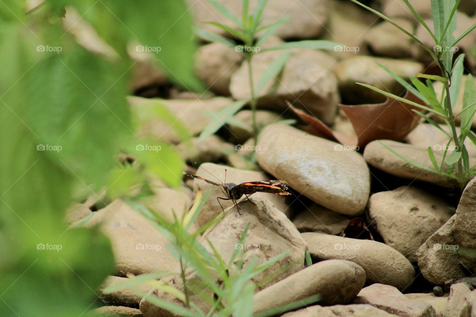 Captain, ready for takeoff...