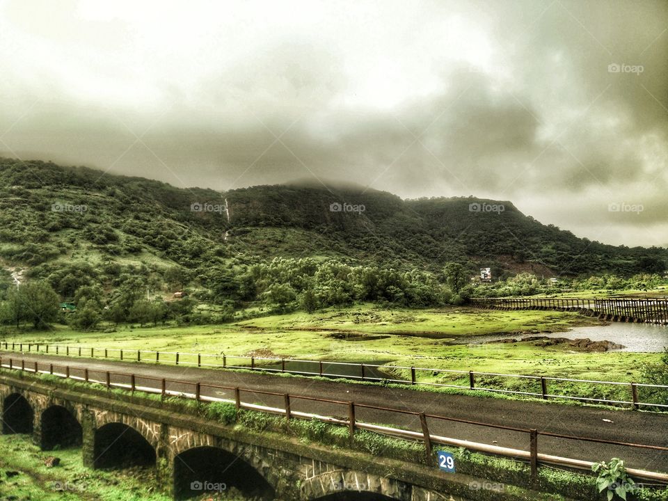 happiness is when the earth gets covered green during monsoon...