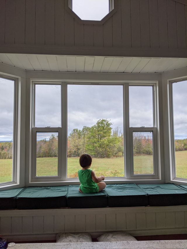 Child in the window