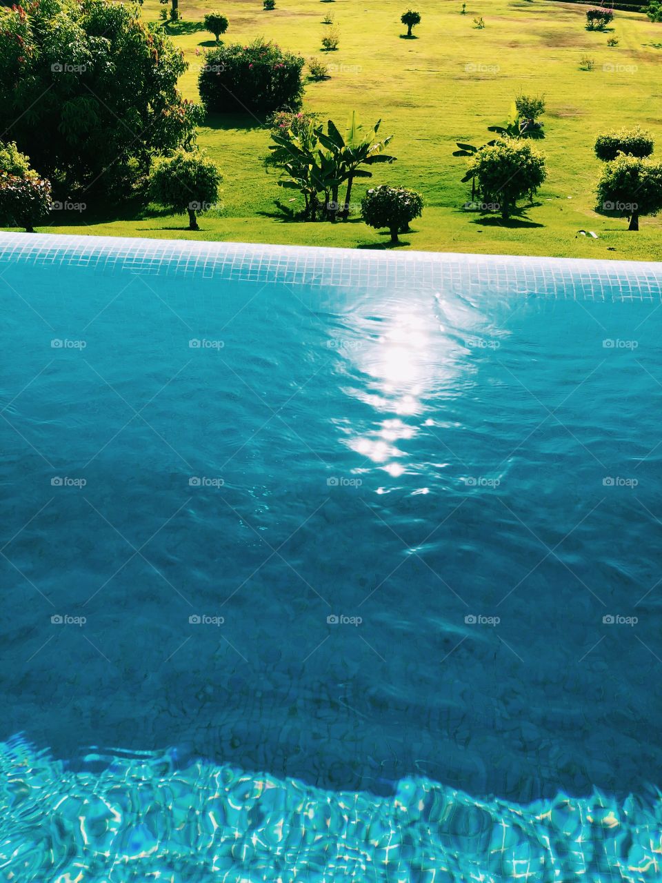 ᗯᗩTEᖇᔕIᗪE ᐯIEᗯ🧡