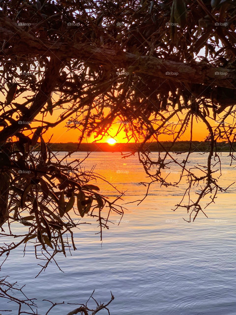 Sunset at the inlet