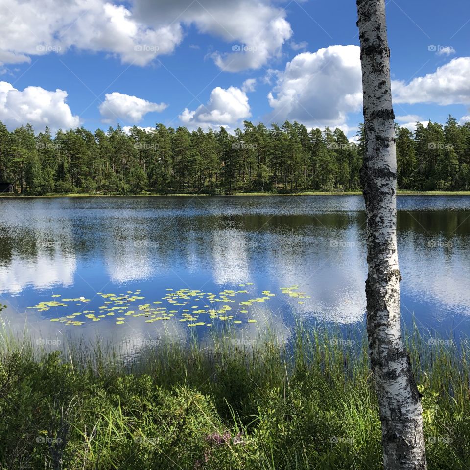 Lake with reflection in Swede 