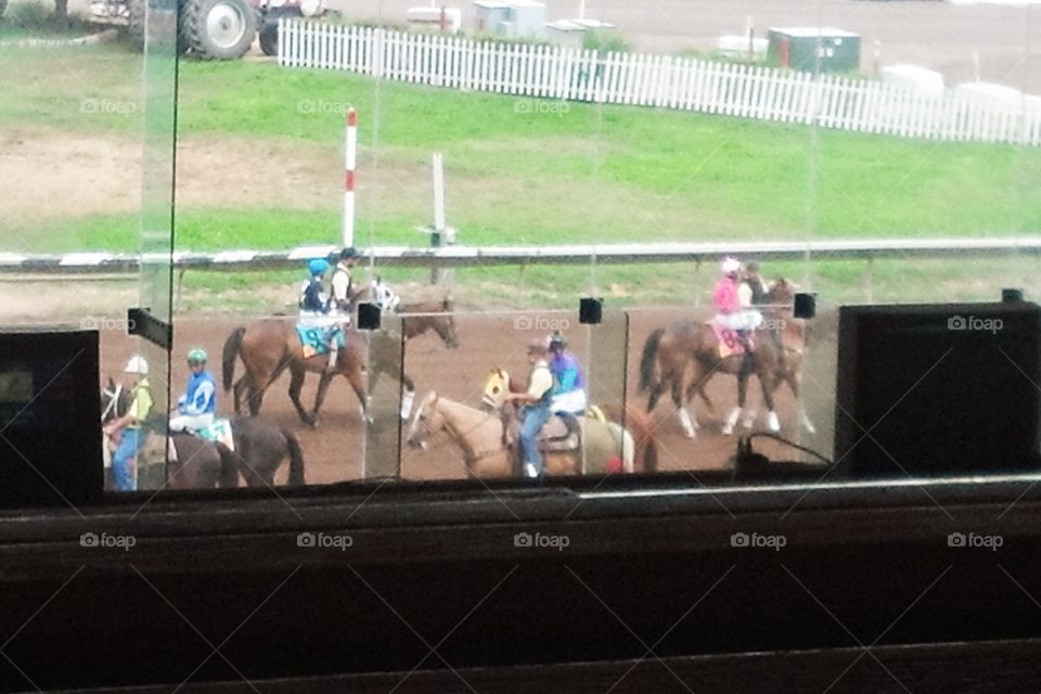 At the races