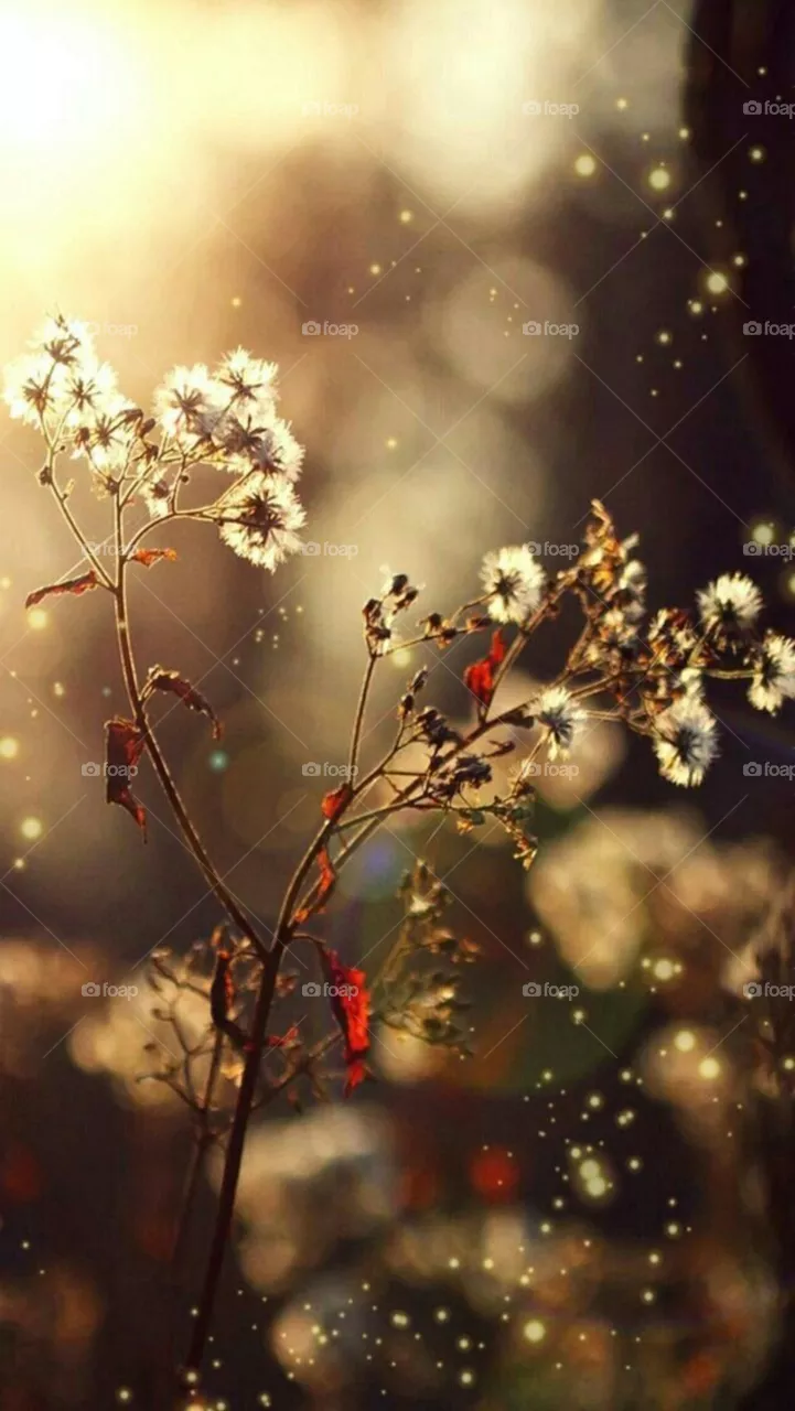 Beautiful nature